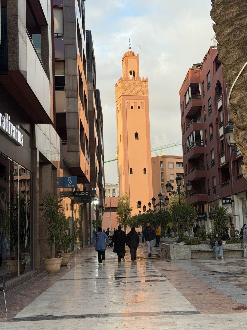 Avenue moderne bordée de palmiers à Marrakech
